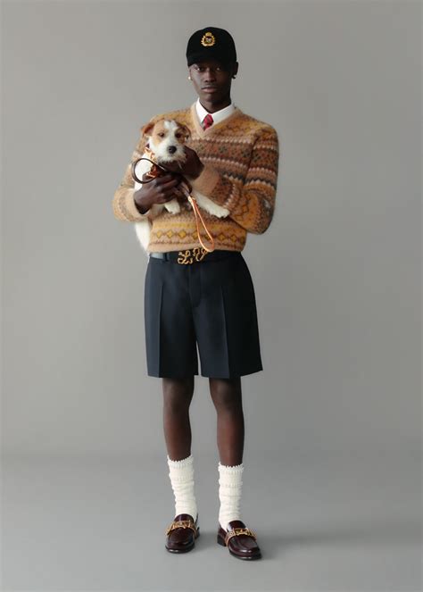 louis vuitton friends collection|Louis Vuitton Welcomes Our Furry Friends For SS25 Pre.